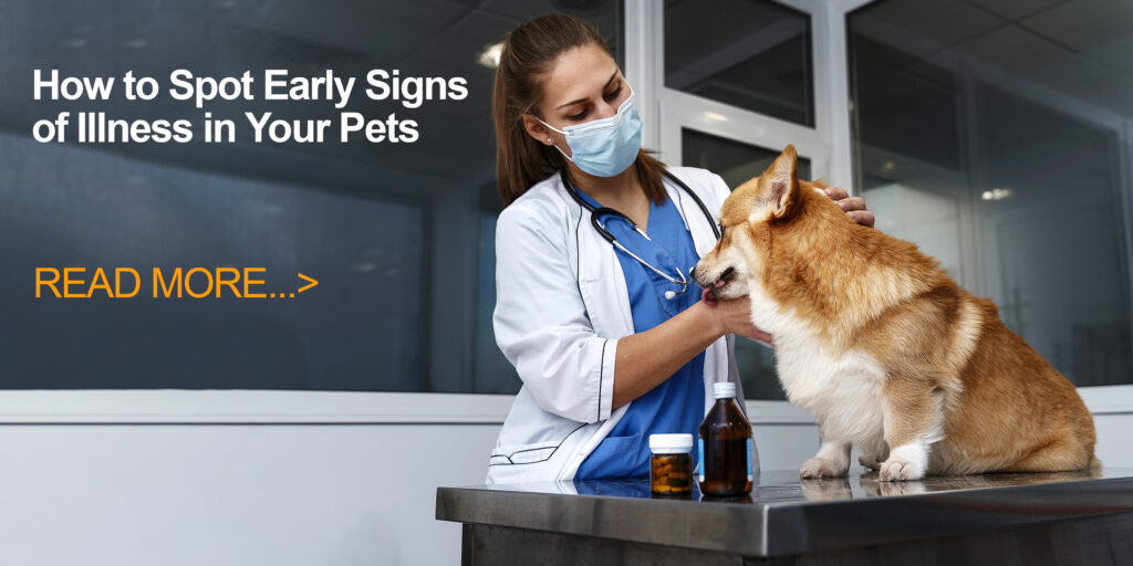 Early Signs of Illness in Your Pets