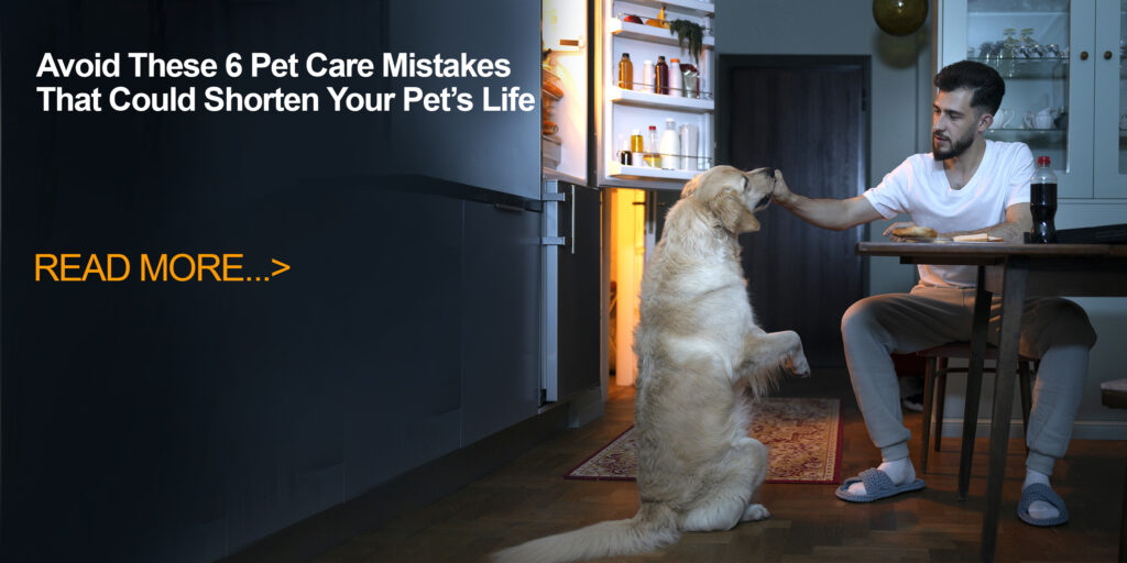 Avoid These 6 Pet Care Mistakes That Could Shorten Your Pet’s Life
