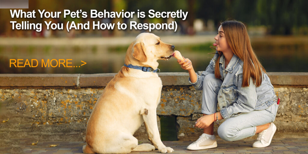 What Your Pet’s Behavior is Secretly Telling You (And How to Respond)