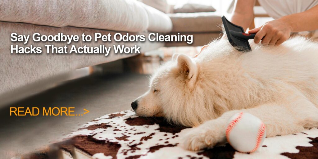 Say Goodbye to Pet Odors: Cleaning Hacks That Actually Work