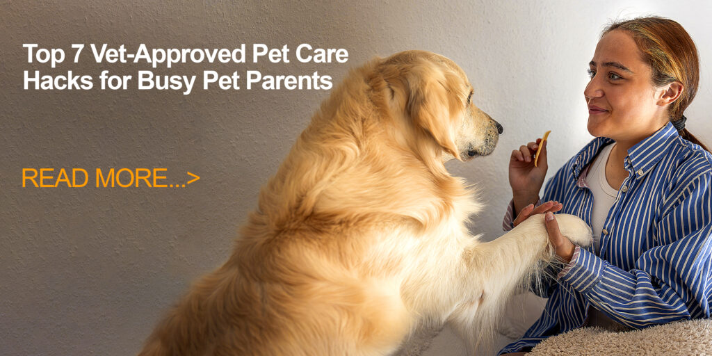 Top 5 Vet-Approved Pet Care Hacks for Busy Pet Parents