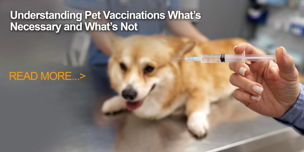 Understanding Pet Vaccinations What’s Necessary and What’s Not